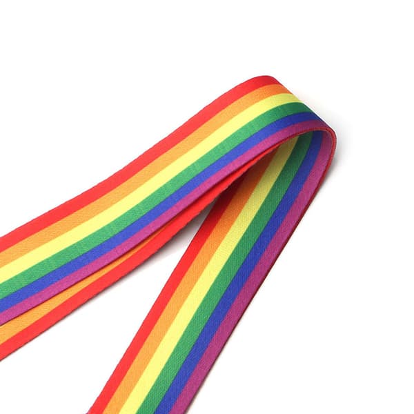 Hållbar Praktiskt RAINBOW Nyckelband