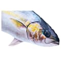 Miniatyrbillede 2 af 2: Gaby The Amberjack Giant Grå