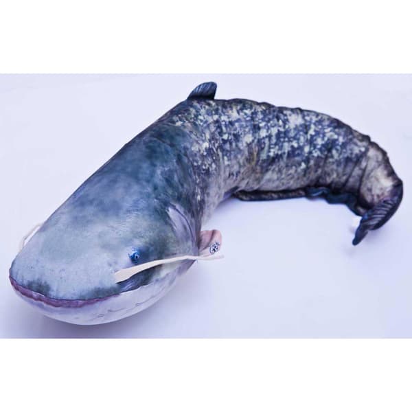 Gaby The Monster Catfish Blå
