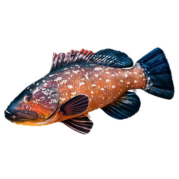 Gaby Dusky Grouper Giant Pillow Orange