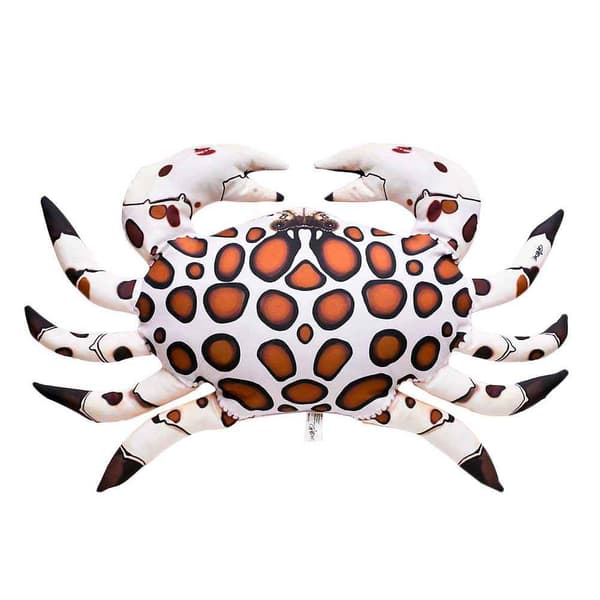 Gaby Den Medelstora Calico-krabban Vit