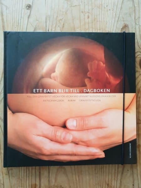 Dagbok från Graviditeten
