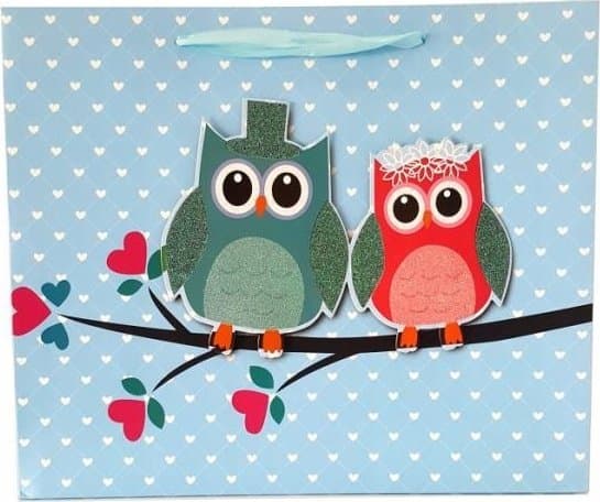 JU-PITER Lahjapussi 2069A 42x33x12cm p12, hinta per 1 kpl