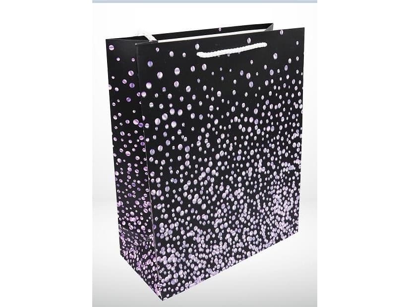 Diocesan Publishing House and Printing House in Sandomi Gift bag L 1389-4