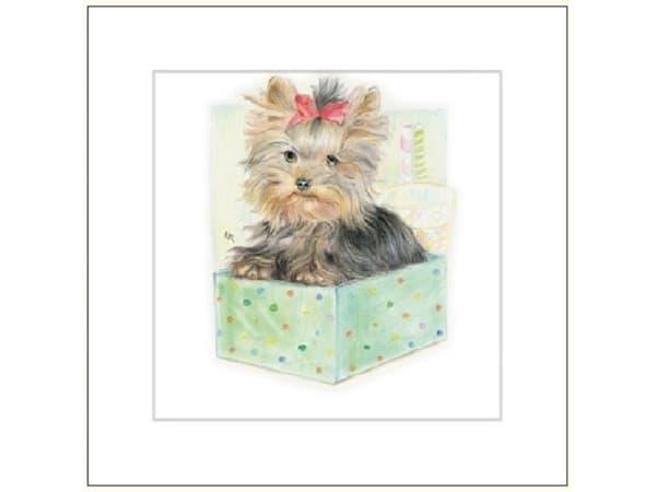 DA VINCI DaVinci hundkort i ask 16x16 cm + kuvert (G04 41G 055)