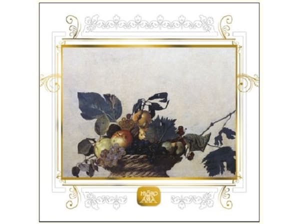 DA VINCI Karnet Owoce DaVinci 16x16 cm + koperta (B-2W 515 005)