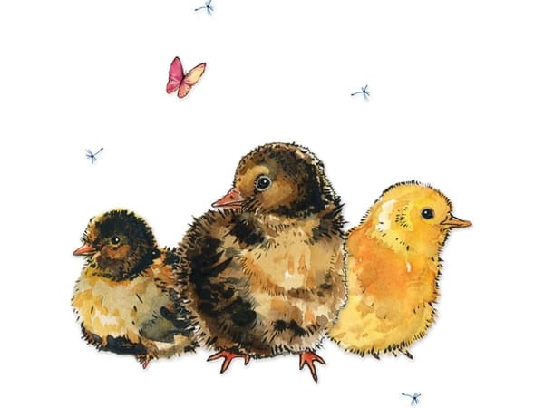 Clear Creation Swarovski kortti neliö Chicks (CL1228)