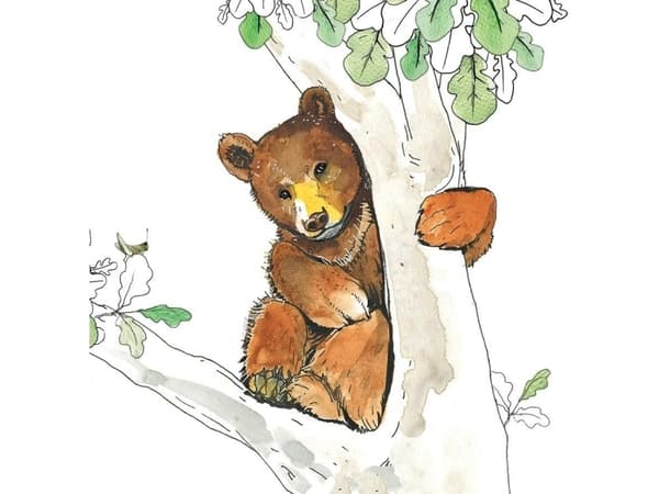 Red Swarovski Bear Pass (CL1224)
