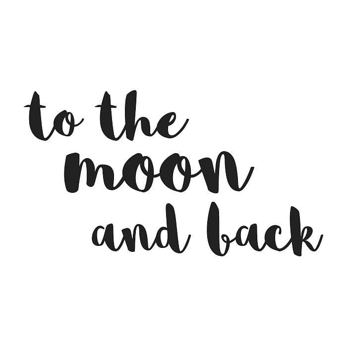 Stickers - To the moon and back