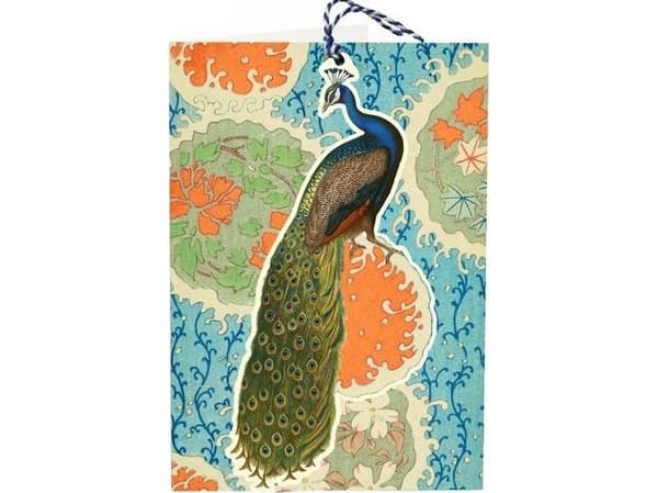 Madame Treacle B6-carnet ja tag ja kirjekuori - Peacock (riikinkukko)