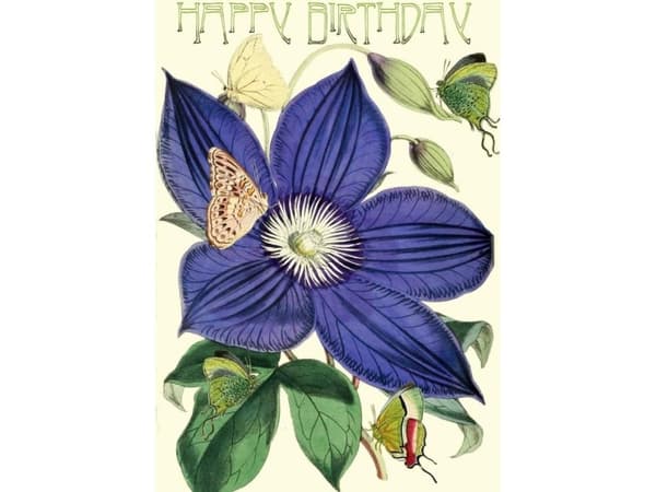 Madame Treacle B6-kort med konvolutt Clematis Birthday