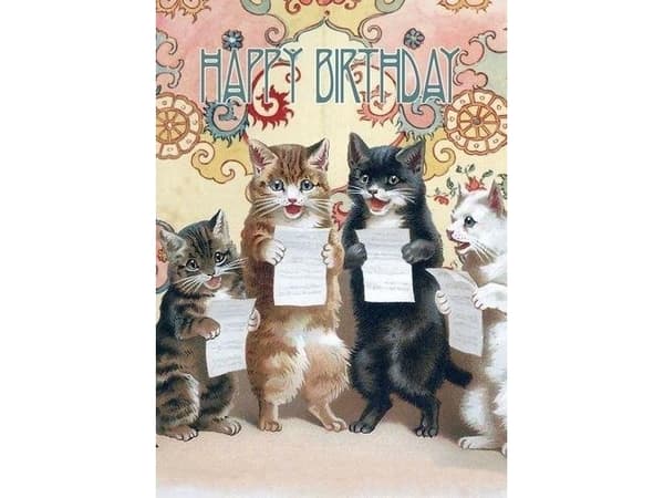 Madame Treacle B6 carnet med kuvert Birthday Choir of Cats