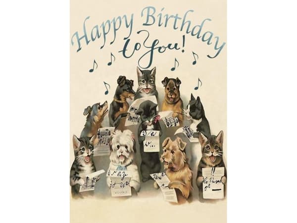 Madame Treacle B6 carnet med kuvert Birthday Singing dogs and cats