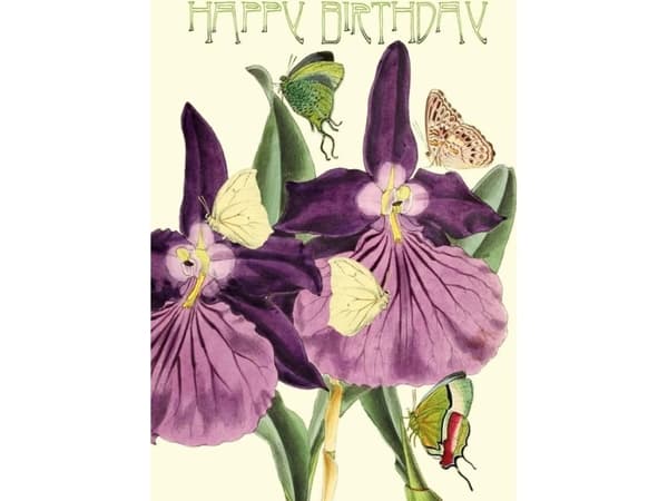 Madame Treacle B6 glitterkort med kuvert Birthday Orchid