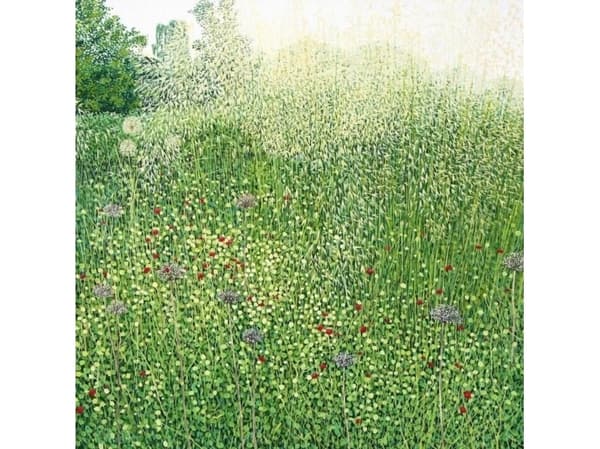 Susan Entwistle-kort med konvoluttgress Harlow Carr