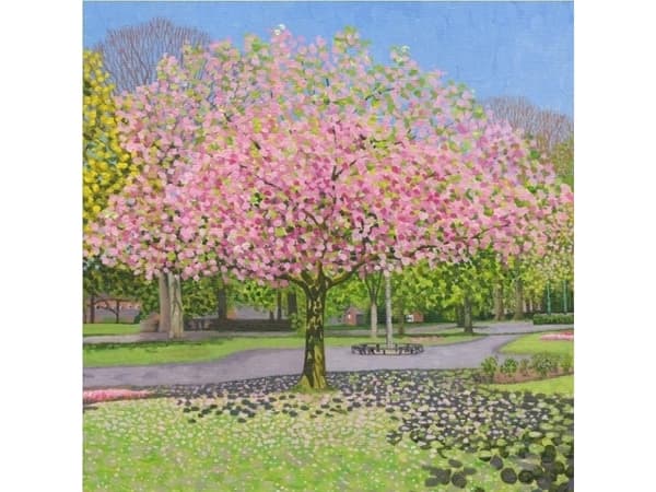 Susan Entwistle Envelope Pass Park