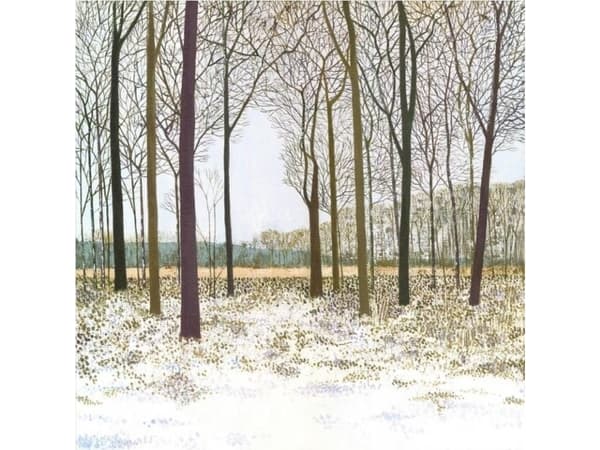 Susan Entwistle Winter Glade-kort med kuvert