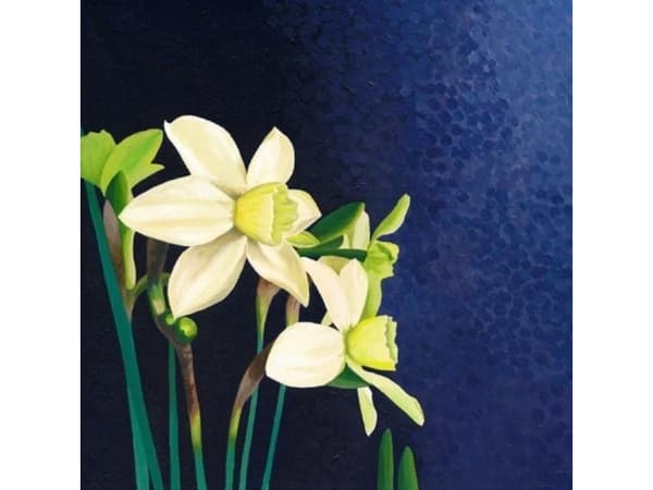 Susan Entwistle Kort med kuvert Narcissus