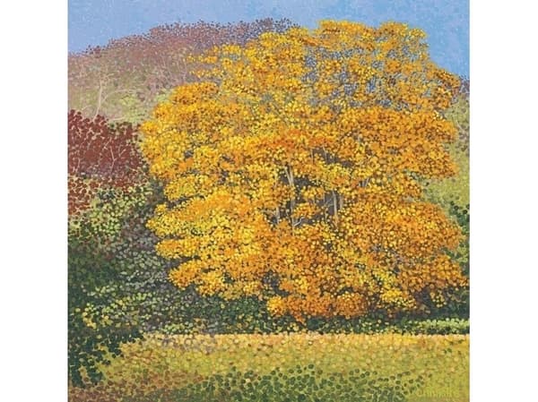 Susan Entwistle Kort med kuvert Maple