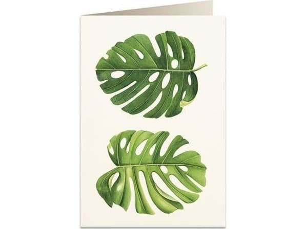 Tassotti Karnet B6 + koperta 6015 Monstera