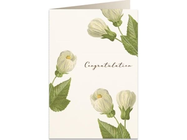 Tassotti Pass B6 + envelope 6027 Congratulations flowers