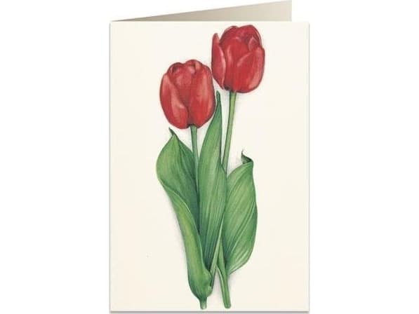 Tassotti Karnet B6 + koperta 7517 Czerwone tulipany Czerwone tulipany