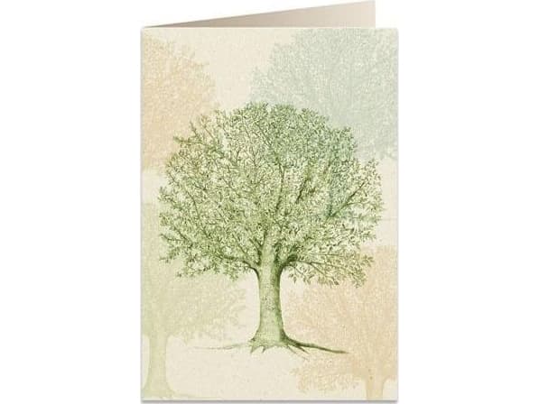 Tassotti B6-carnet + kirjekuori 6094 Eteläinen jalava