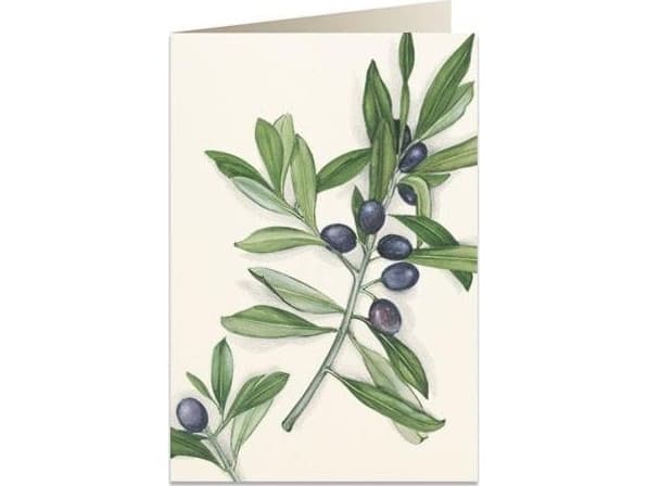 Tassotti Pass B6 + envelope 7520 Olives
