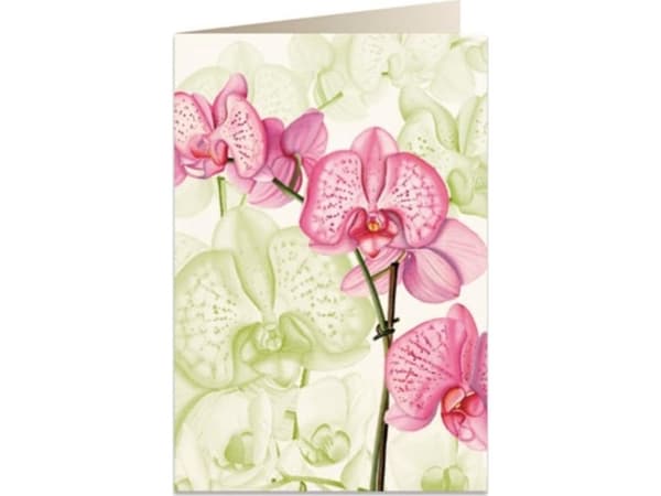 Tassotti Karnet B6 + koperta 5722 Różowa orchidea