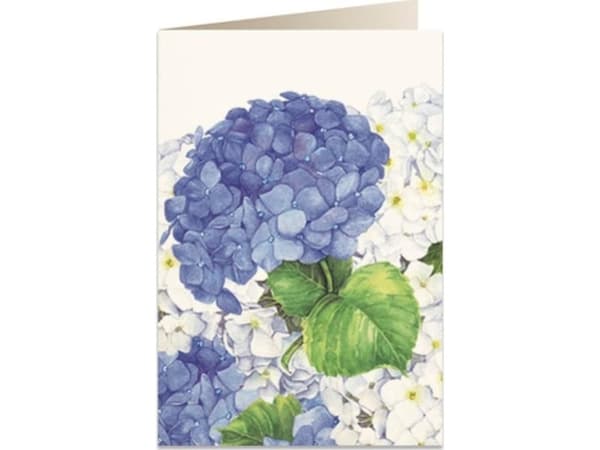 Tassotti Hiihtopassi B6 + kirjekuori 5549 Sininen hortensia