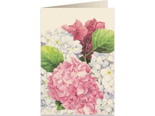 Tassotti Ski pass B6 + envelope 5548 Pink hydrangea