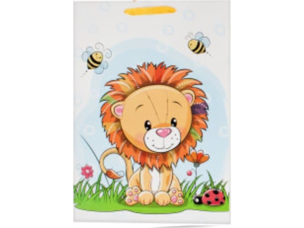 Gift bag JYWK349 XL (25)