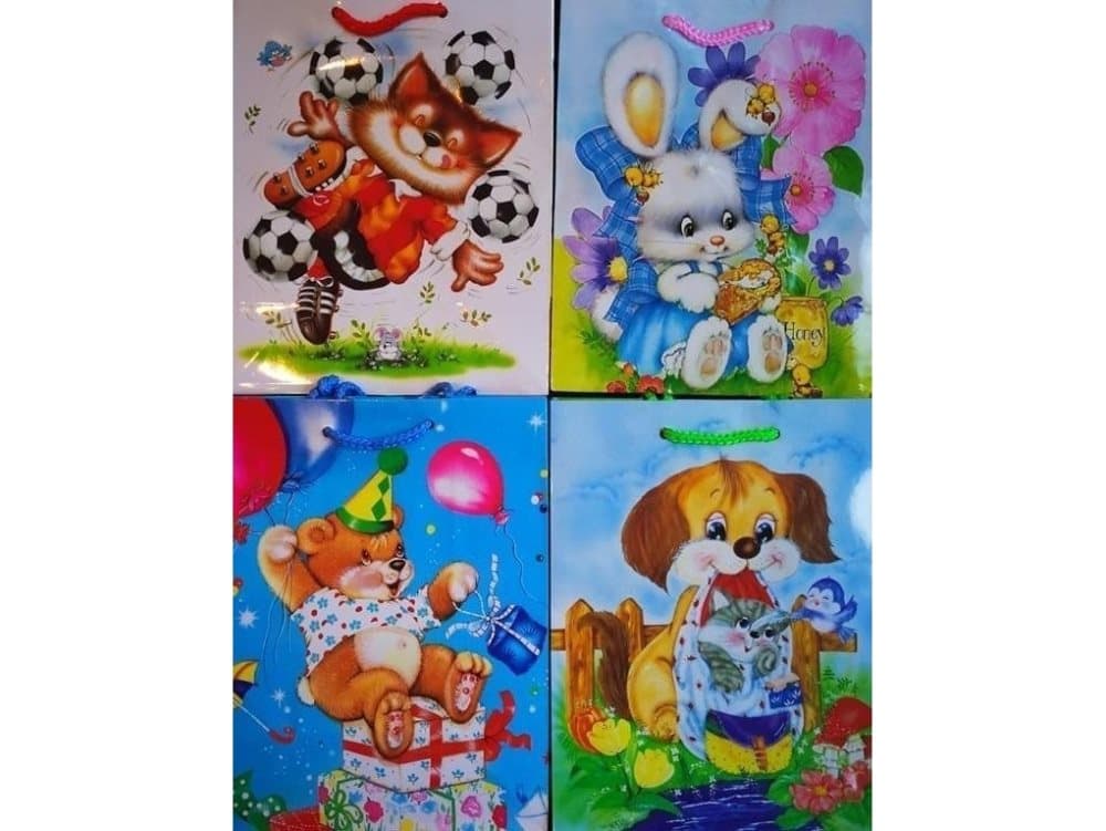 Decorative laminated medium bag set of 41