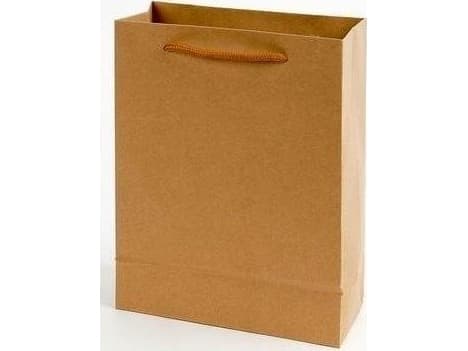 Craft large paper bag
