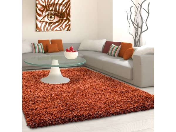 Ayyildiz Hali Ayyildiz kilimas LIFE terra, 60X110 cm