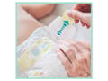 Pikkukuva 5 / 5: Pampers Premium Monthly Box Koko 4, 8-14kg 174 kpl.
