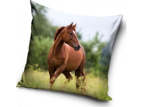 Kuddfodral med brun häst 40 x 40 cm