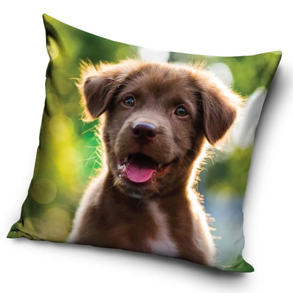 Sammets örngott 40x40 Hund