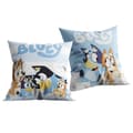 Miniatyrbillede 2 af 2: Polyester pude 40x40 Bluey