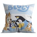 Miniatyrbillede 1 af 2: Polyester pude 40x40 Bluey