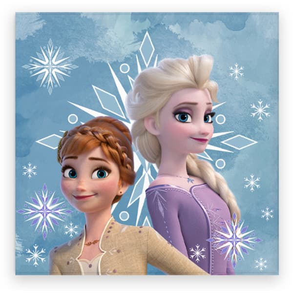 Lasten froteepyyhe 30x30 Frozen