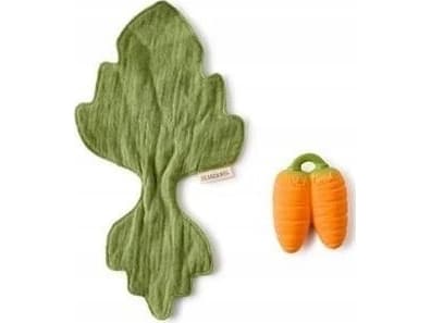 Oli&Carol Cathy the Carrot Mini Doudou-Teether, 0+