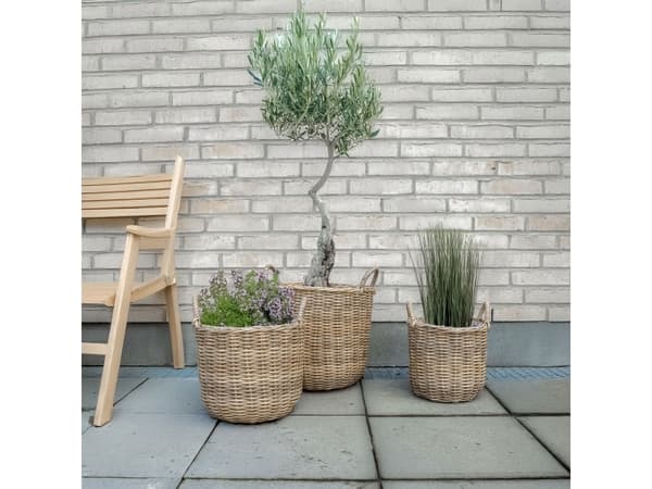 Rattan plantekurve i natur - 3 stk