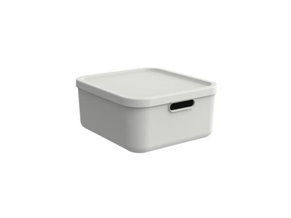 Rotho Box20l Albula Vit