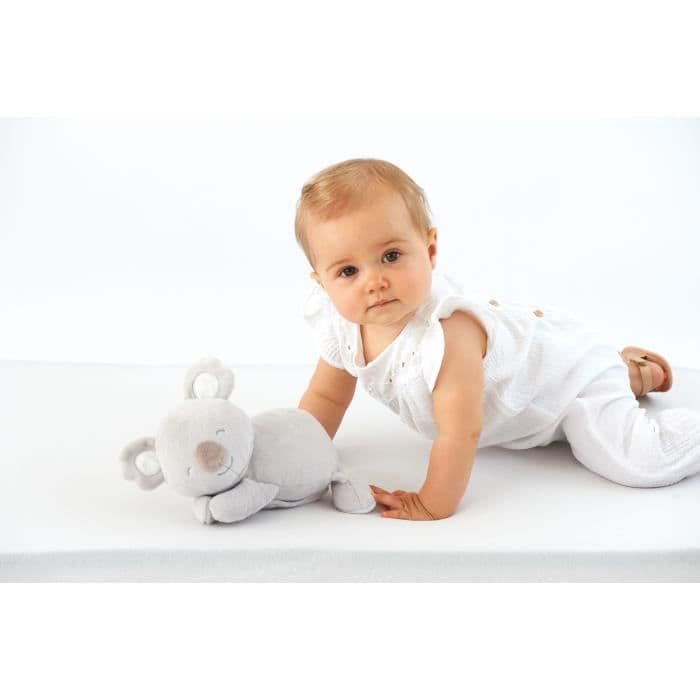 Tineo Cale Bebe Koala Cdon Tineo Cale Bebe Koala Cdon