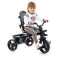 Miniatyrbillede 11 af 11: Trehjulet Cykel Moltó 20239 (99 cm)