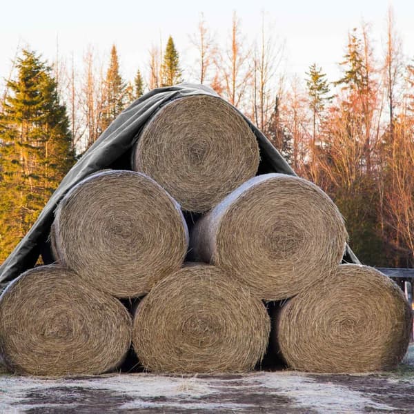 ECD Germany presenningsstof presenning med øjer 6x10m 60m² 180g / m² grå lavet af polyethylen skimmelbestandig vandtæt, rivebestandig beskyttende