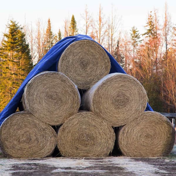 ECD Germany presenningsstof presenning med øjenlåg 8x10m 80m² 260g / m² blå lavet af polyethylen skimmelbestandig vandtæt rivefast beskyttende