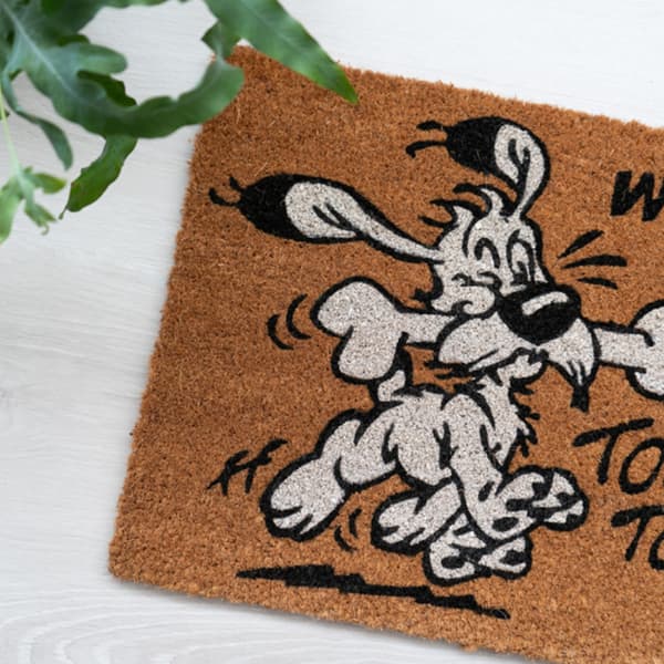 Asterix - Dörrmatta (40 x 60 cm)