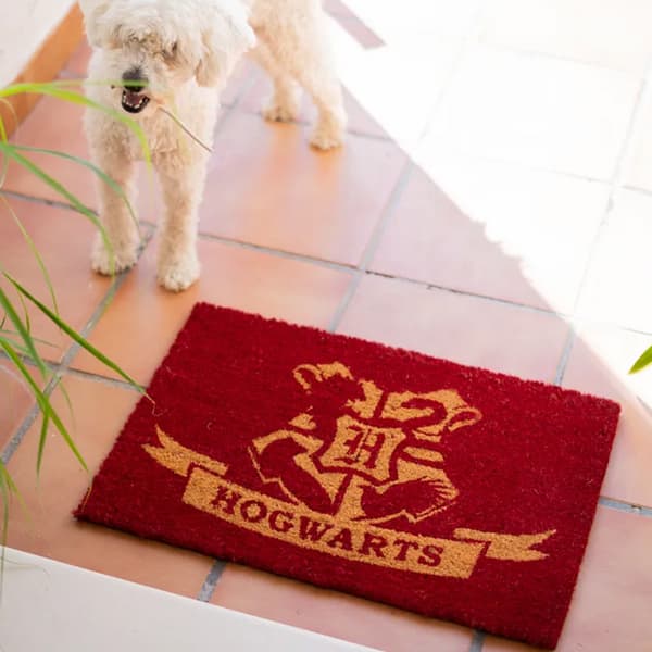 Harry Potter - Hogwarts Dörrmatta (40 x 60 cm)